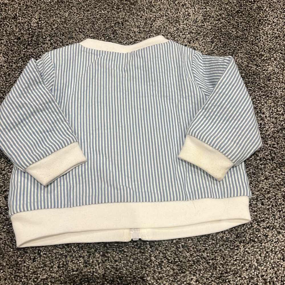Striped bomber - Picture 2 of 2